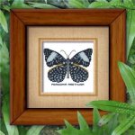 (image for) Butterfly Pattern 808